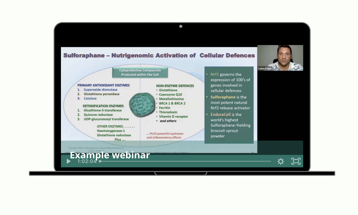 Screenshot 2023-06-07 at 15.38.31