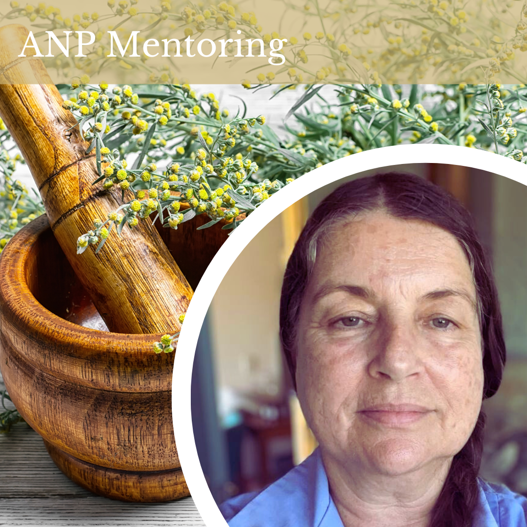 Copy of ANP In-Person Event-2