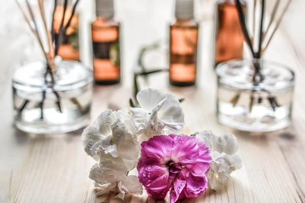 What are Homeobotanicals?