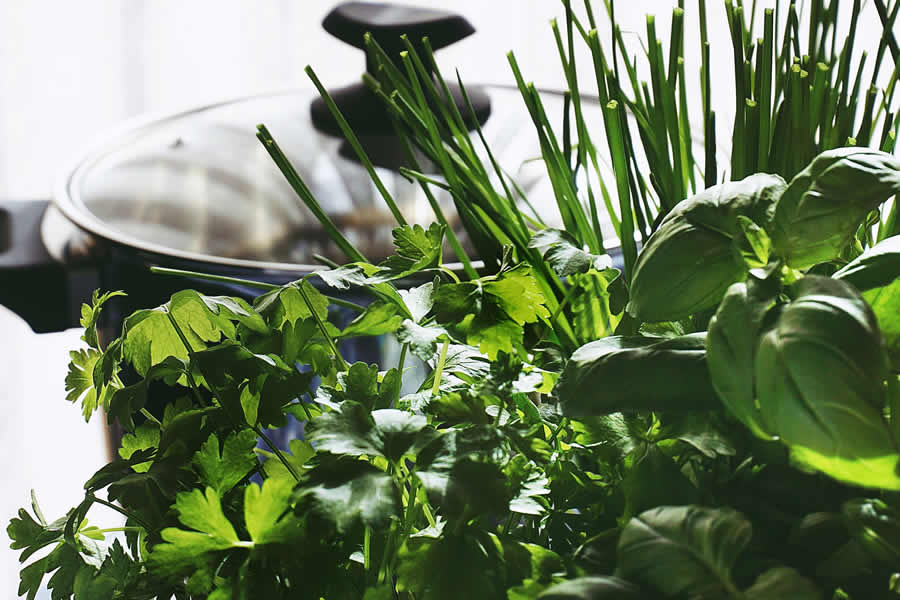 The-ANP-Herbalist The ANP Herbalist